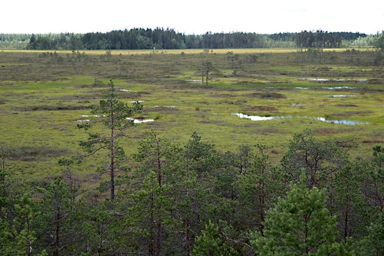 FI_200709 Suomi_0047 Valkmusan kansallispuisto Kymenlaakson Pyht